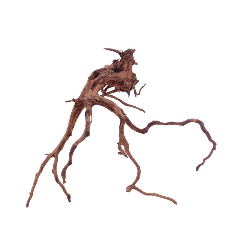 Aquaone Aquarium XL Red Spider Wurzel Nr.5091 Fingerwurzel Echtholz Deko Aquascaping
