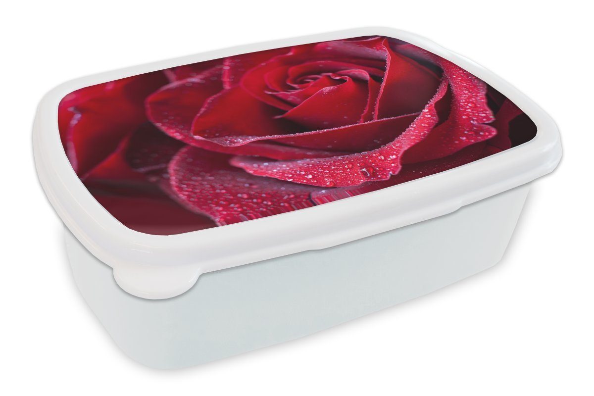 Lunchbox und (2-tlg), Rose MuchoWow Kinder und Rot - Erwachsene, für weiß - Tropfen, für Kunststoff, Jungs Mädchen Brotdose, Brotbox