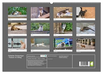 CALVENDO Wandkalender Geliebte Stubentiger - Katzen im Alltag (Premium, hochwertiger DIN A2 Wandkalender 2023, Kunstdruck in Hochglanz)