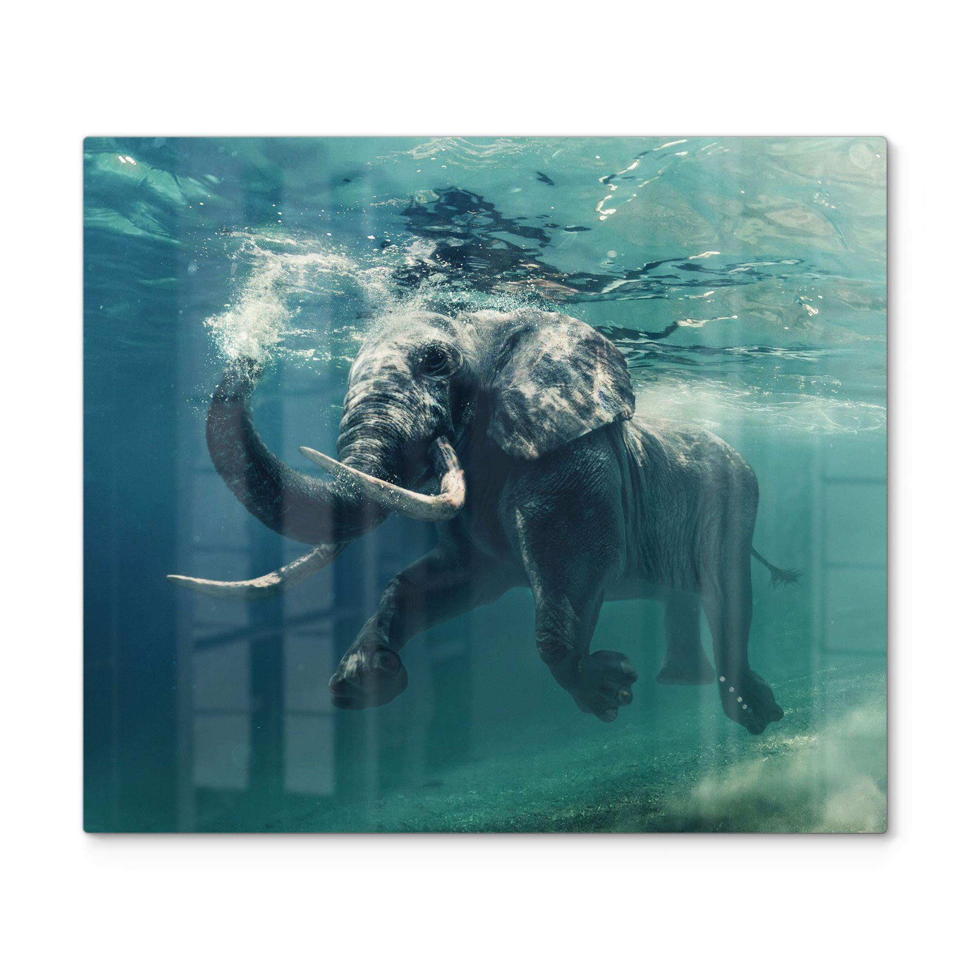 DEQORI Herdblende-/Abdeckplatte 'Schwimmender Elefant', Glas, (1 tlg), Glas Herdabdeckplatte Ceranfeld Herd