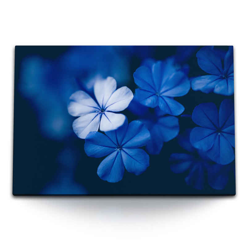 Sinus Art Leinwandbild 120x80cm Wandbild auf Leinwand Blaue Blumen Blüten Dunkelblau Dekorati, (1 St)