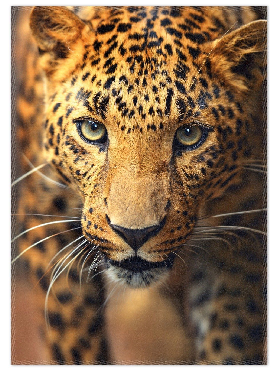 Wallario Teppich Leopard in Nahaufnahme beim Laufen, rechteckig, rutschfest