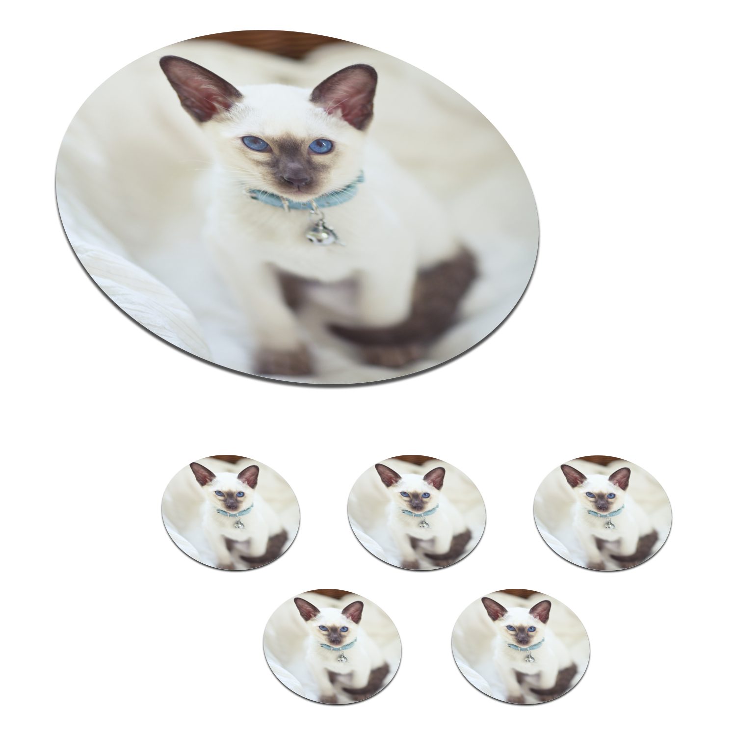 MuchoWow Glasuntersetzer Eine weiß gefärbte Siamesische Katze, Zubehör für Gläser, 6-tlg., Getränkeuntersetzer, Tassenuntersetzer, Korkuntersetzer, Tasse, Becher