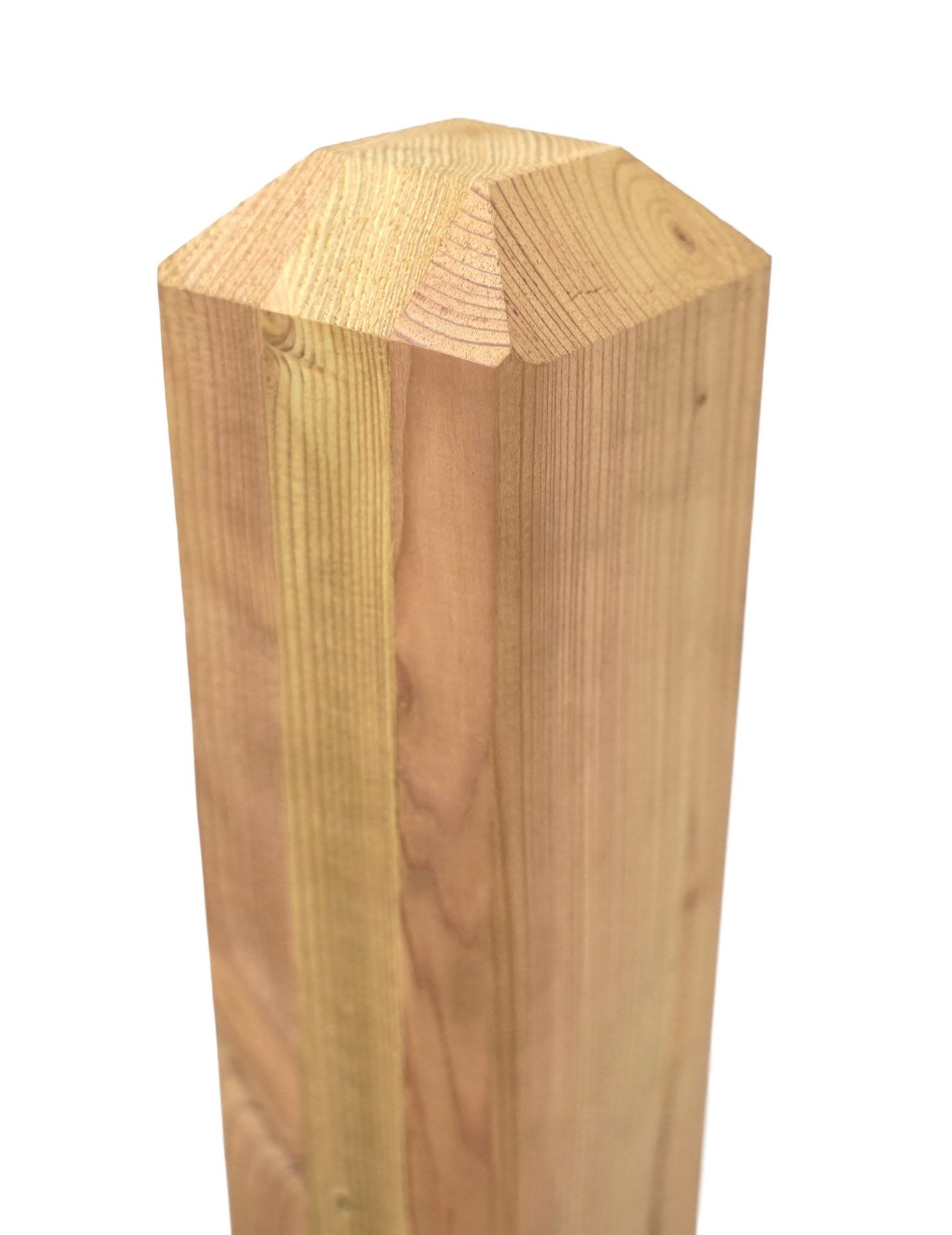 GartenLand Zaunpfosten Pfosten abgeschrägte Spitze Lärche ca. 9x9×115 cm Serie Graz, (Set, ohne Befestigung), Pfosten Lärche