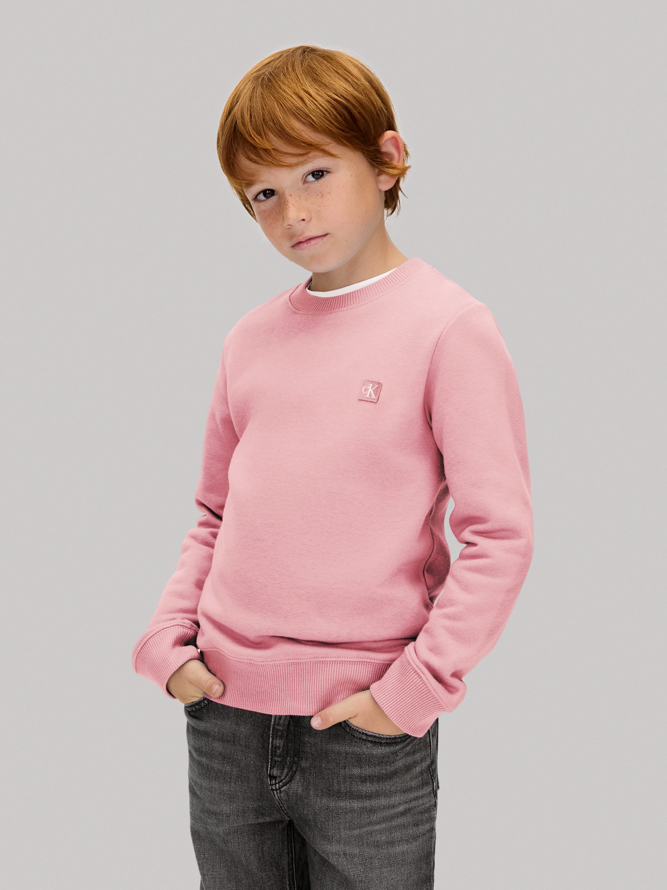 Calvin Klein Jeans Sweatshirt MONO MINI günstig online kaufen
