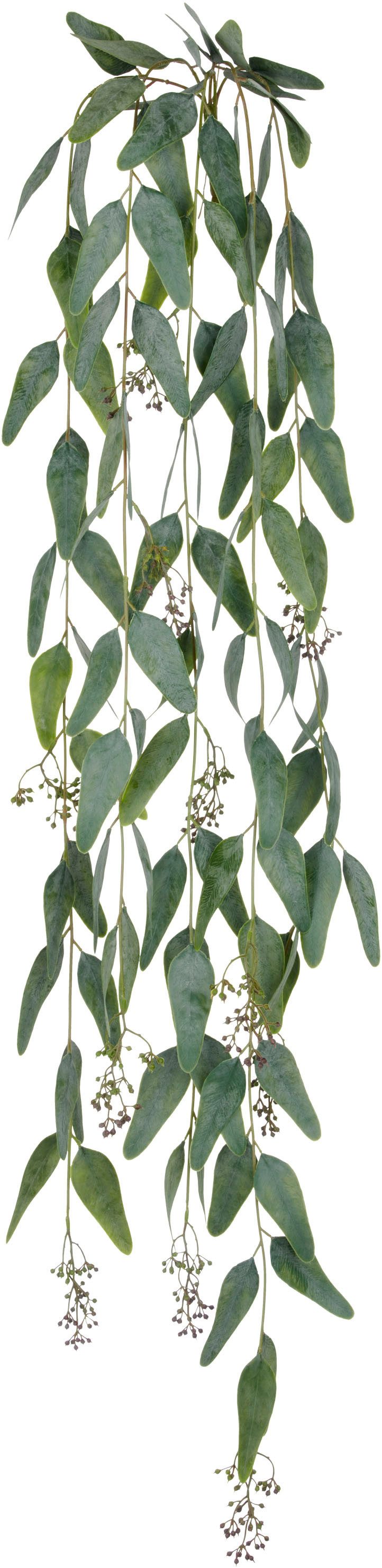 Kunstranke Eukalyptus, Creativ green, Höhe 115 günstig online kaufen