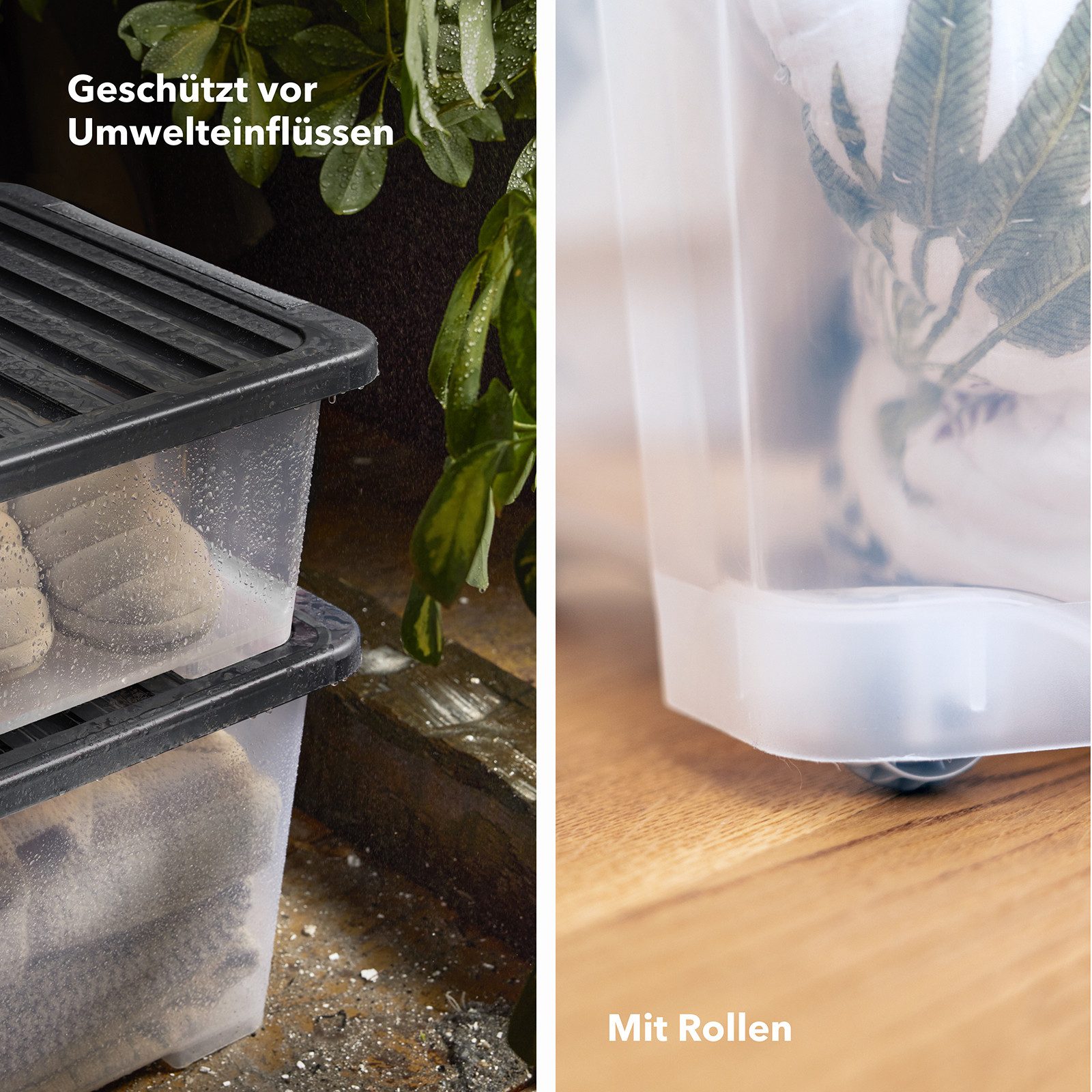 ROTHO Aufbewahrungsbox 4er-Set CORE PRO 65 L stapelbare Box mit gedichteter Deckel und Räder (Lagerboxen-Set, 4er-Set), roße Rollbox mit Dichtung ideal für Kleidung und Haushaltsartikel