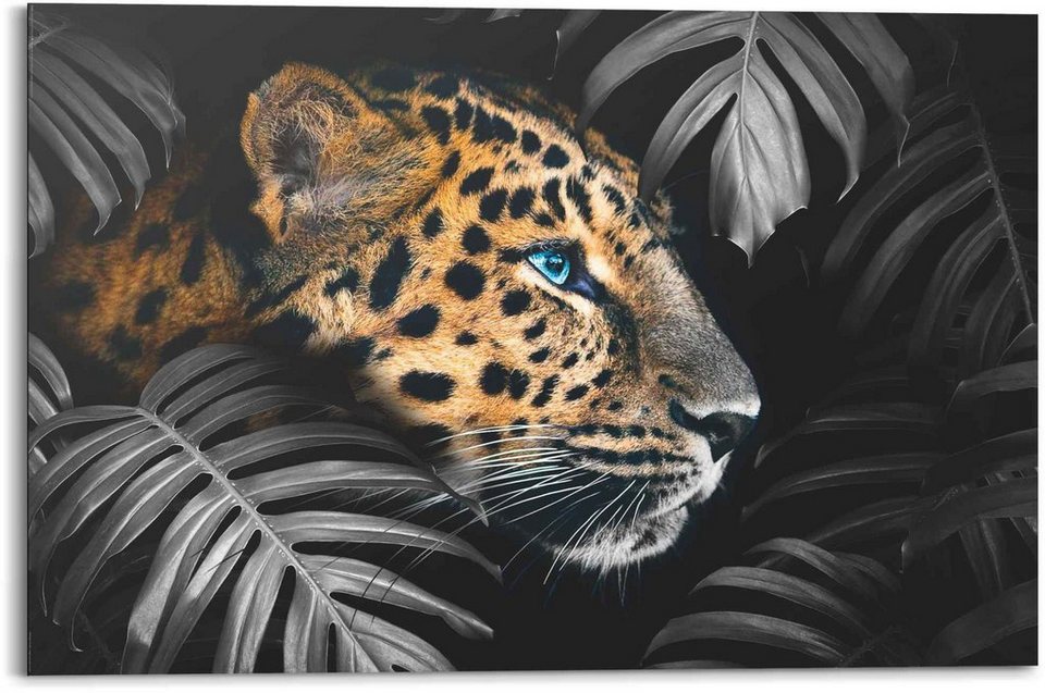 Reinders! Wandbild Wandbild Leopard Jungle - Pflanze - Tiermotiv, Leopard (1  St)