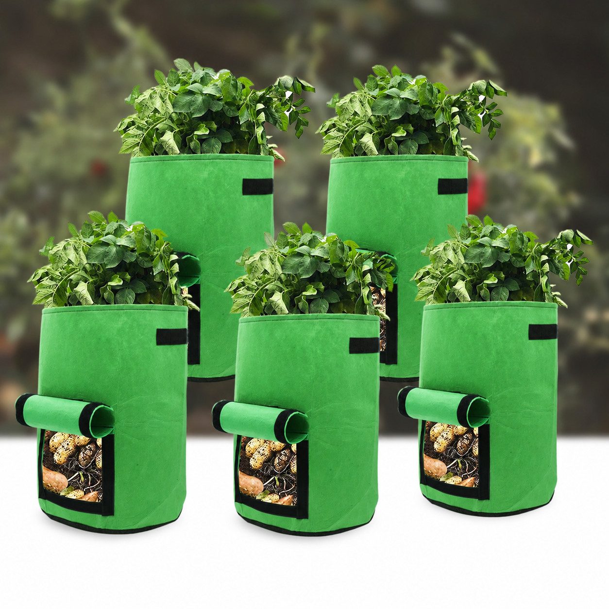 Clanmacy Pflanzkübel Pflanzsack Pflanztasche Kartoffel Atmungsaktiv 5X 30×35 cm Grün (5 St)