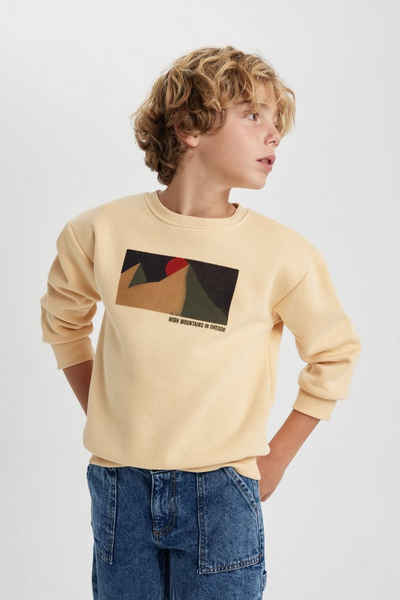 DeFacto Sweatshirt Jungen Sweatshirt OVERSIZE FIT