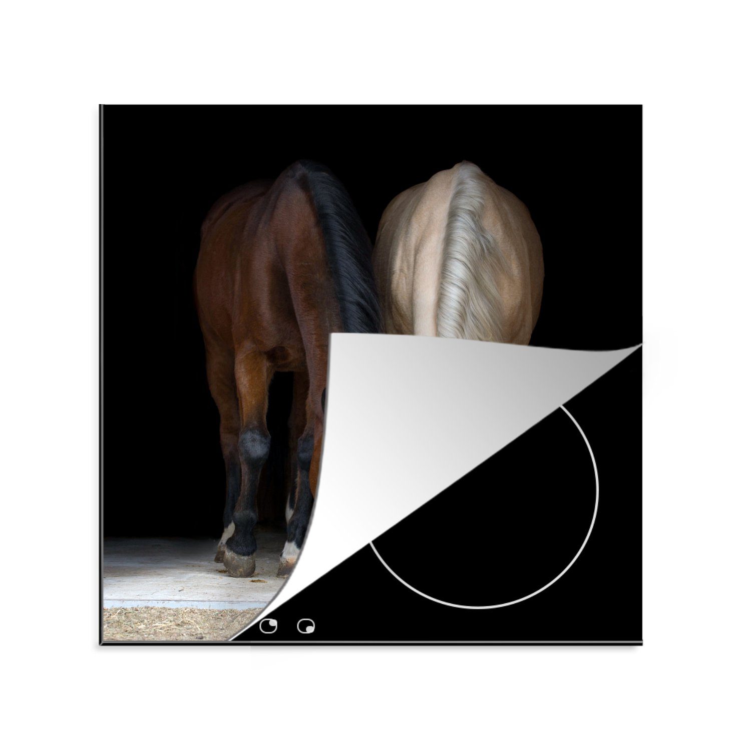 MuchoWow Herdblende-/Abdeckplatte Pferde - Tiere - Apfel, Vinyl, (1 tlg), 78x78 cm, Ceranfeldabdeckung, Arbeitsplatte für küche