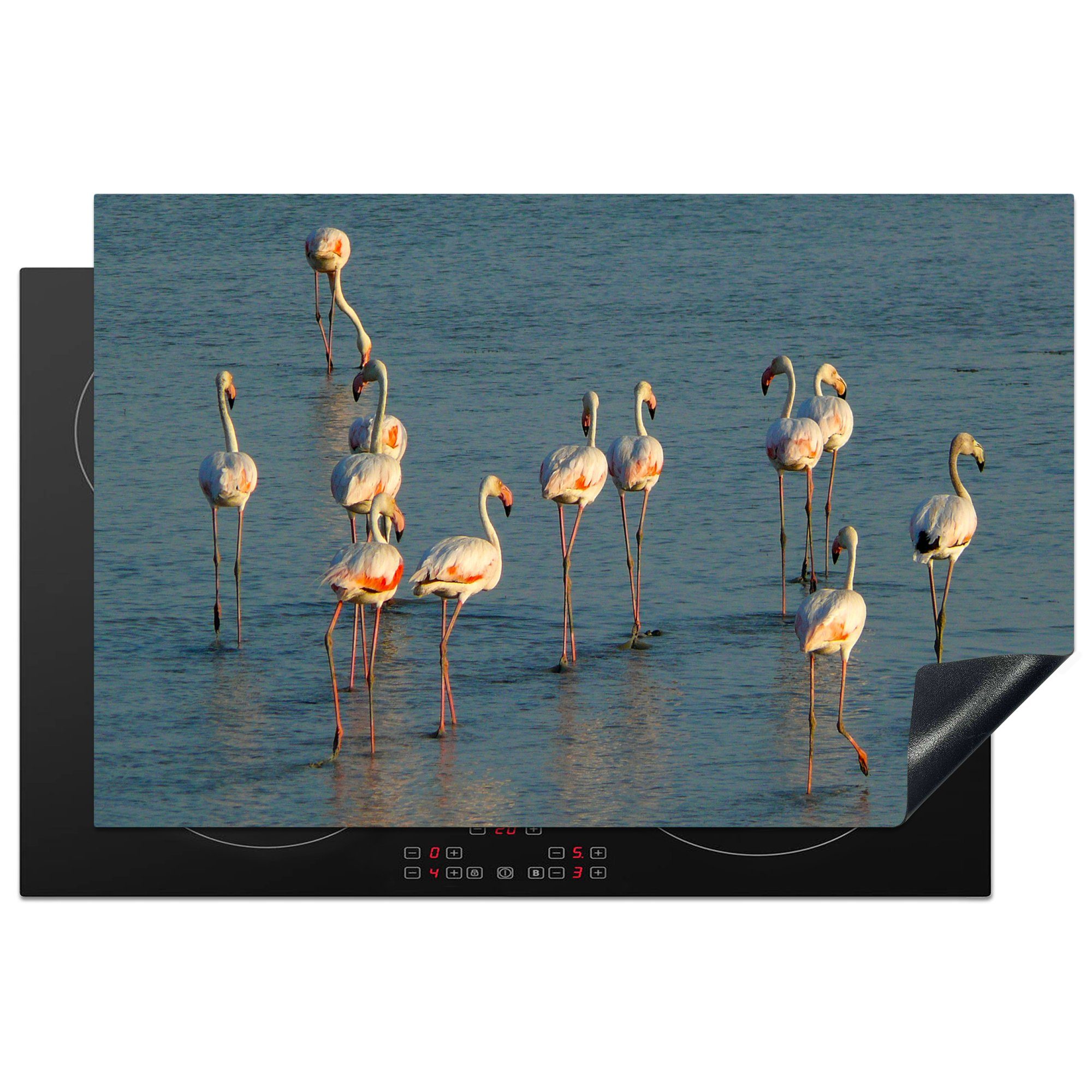 MuchoWow Herdblende-/Abdeckplatte Flamingos im Doñana-Nationalpark in Spanien, Vinyl, (1 tlg), 81x52 cm, Induktionskochfeld Schutz für die küche, Ceranfeldabdeckung