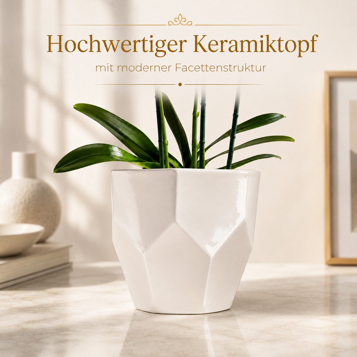 Kunstorchidee PASCH® Orchidee künstlich wie echt in Hochglanz-Keramiktopf Orchidee, PASCH, Hochglanz Keramiktopf – Bild 4 von 5