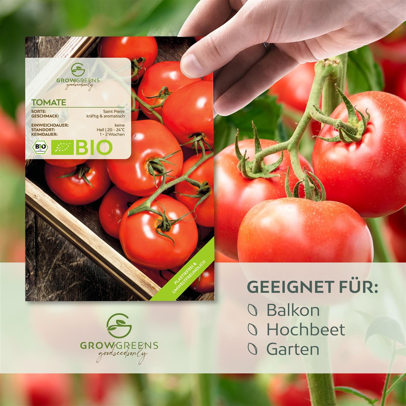 Growgreens Gemüsesamen BIO Tomatensamen (Saint Pierre) - Tomaten Saatgut (1 günstig online kaufen