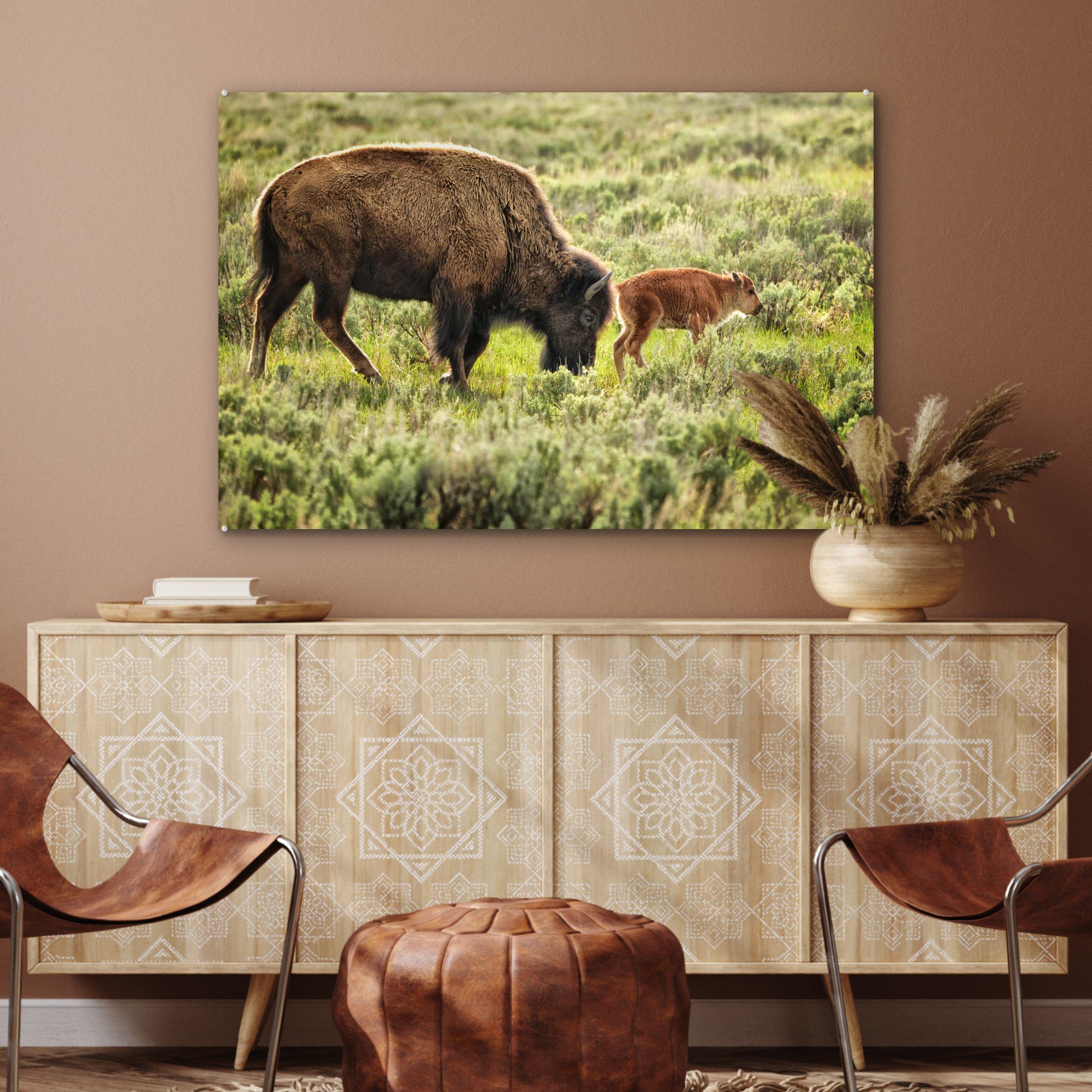 (1 Baby Bison Acrylglasbild in Wyoming, & mit St), Wohnzimmer Schlafzimmer MuchoWow Acrylglasbilder