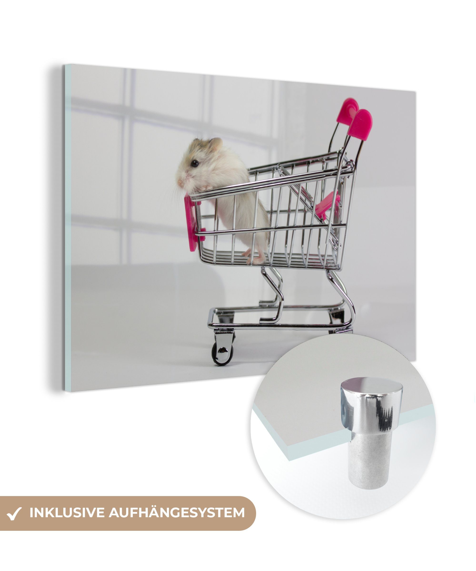 MuchoWow Acrylglasbild Hamster in einem Wagen, (1 St), Acrylglasbilder Wohnzimmer & Schlafzimmer | Bilder