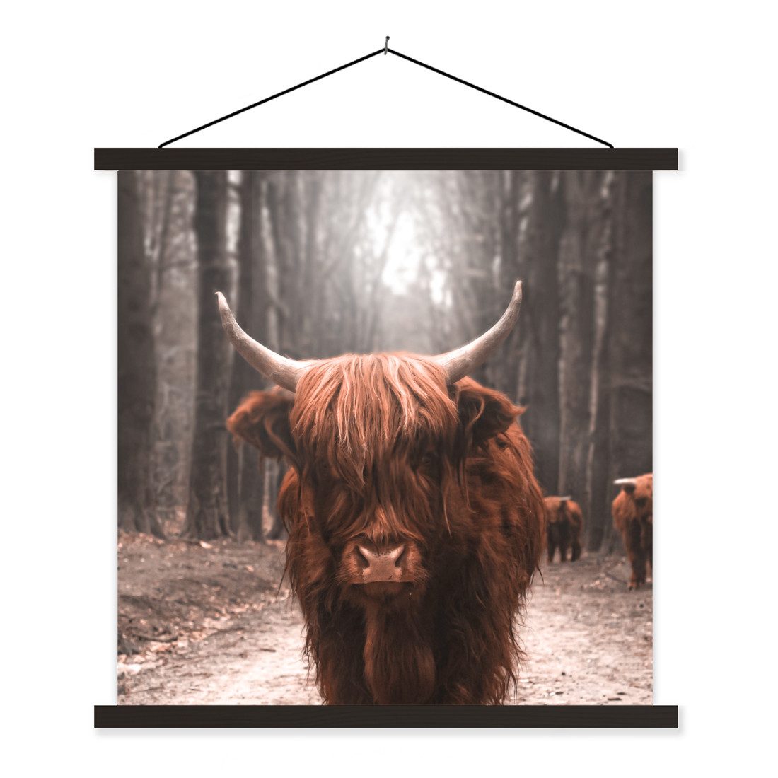 Poster Schottischer Hochländer - Wald - Kuh - Tiere - Natur