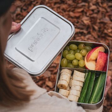 pandoo Lunchbox Lunchbox aus Edelstahl mit variablem Trennsteg