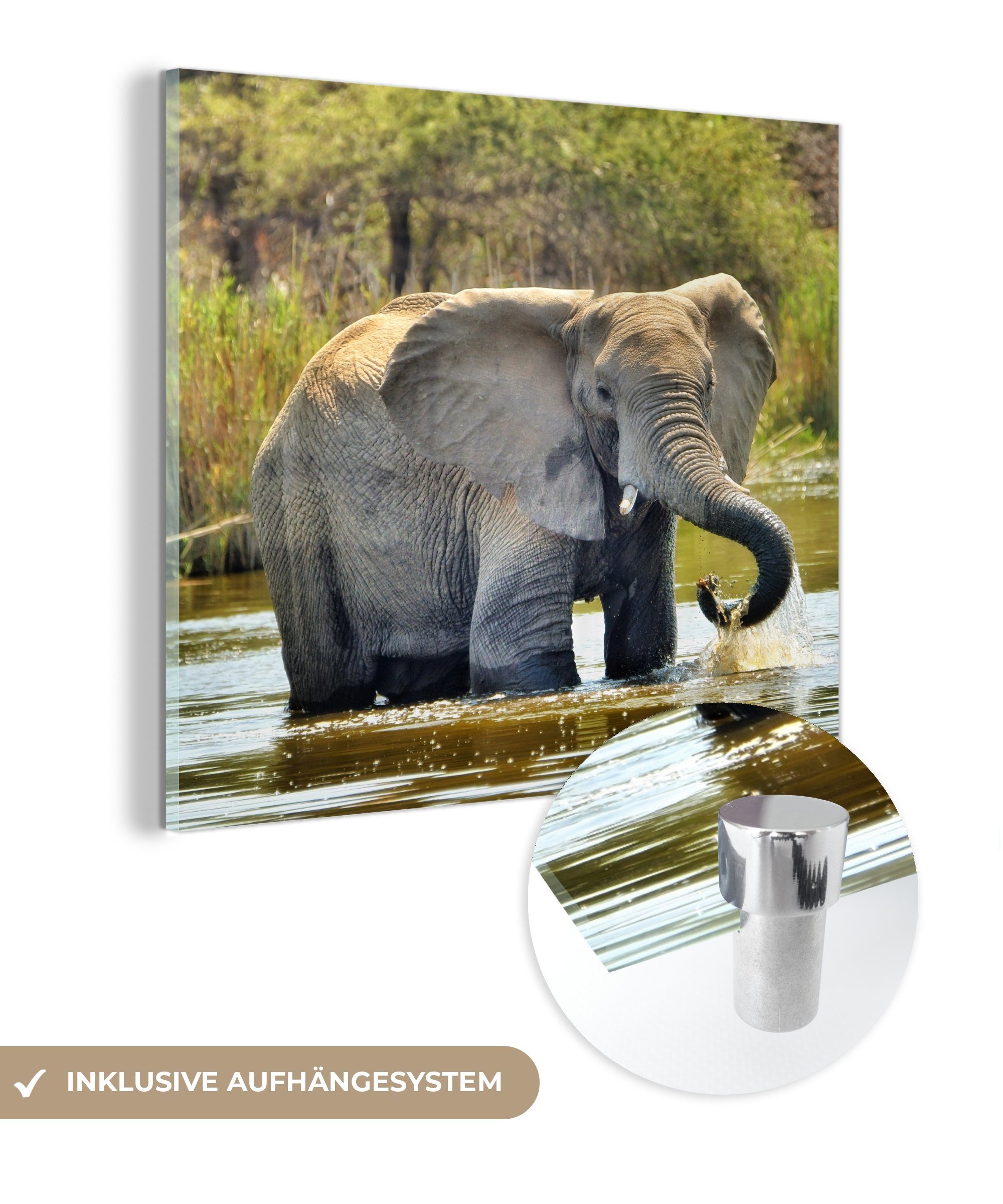 MuchoWow Acrylglasbild Elefant - Wasser - Tiere - Natur, (1 St), Glasbilder - Bilder auf Glas Wandbild - Foto auf Glas - Wanddekoration
