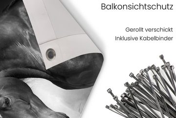 MuchoWow Balkonsichtschutz Pferde - Tiere - Schwarz - Weiß - Porträt (1-St) Balkonbanner, Sichtschutz für den Balkon, Robustes und wetterfest