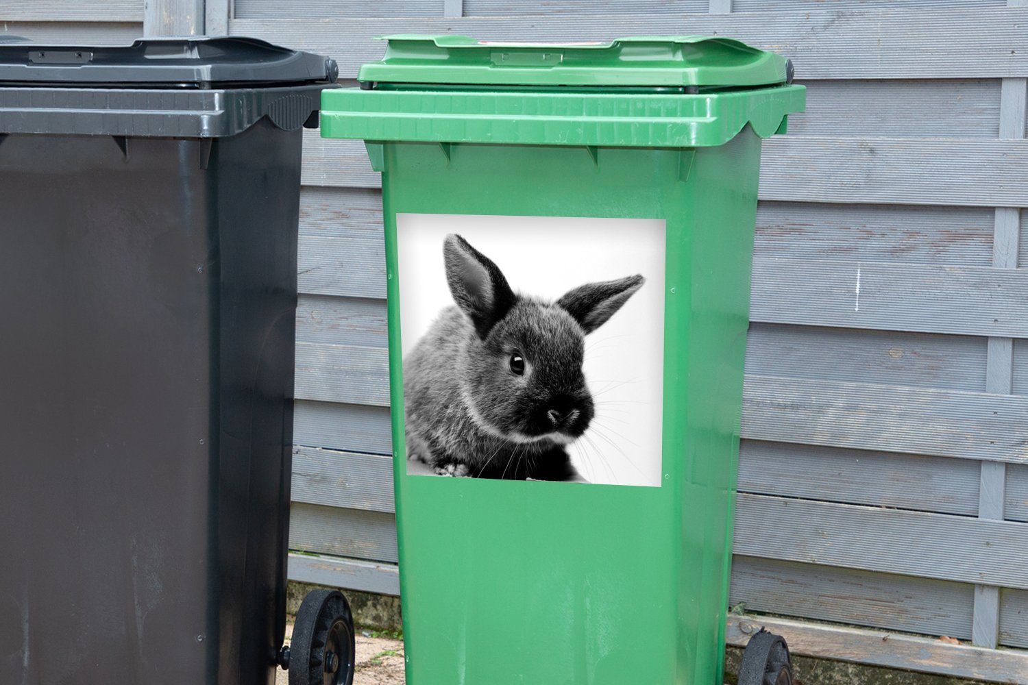St), weiß Wandsticker Sticker, schwarz - Container, Abfalbehälter Kaninchens Mülleimer-aufkleber, MuchoWow Porträt eines (1 Mülltonne, und