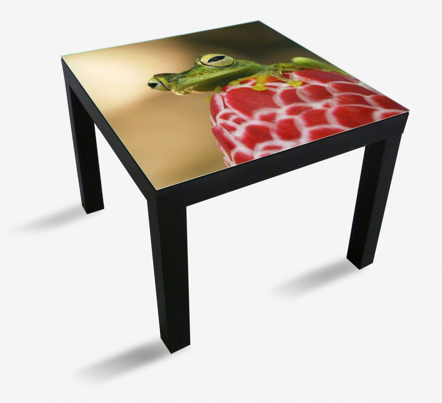Wallario Tischplatte Frosch sitzt auf einer Knospe (1 St), für Ikea Lack Tisch geeignet