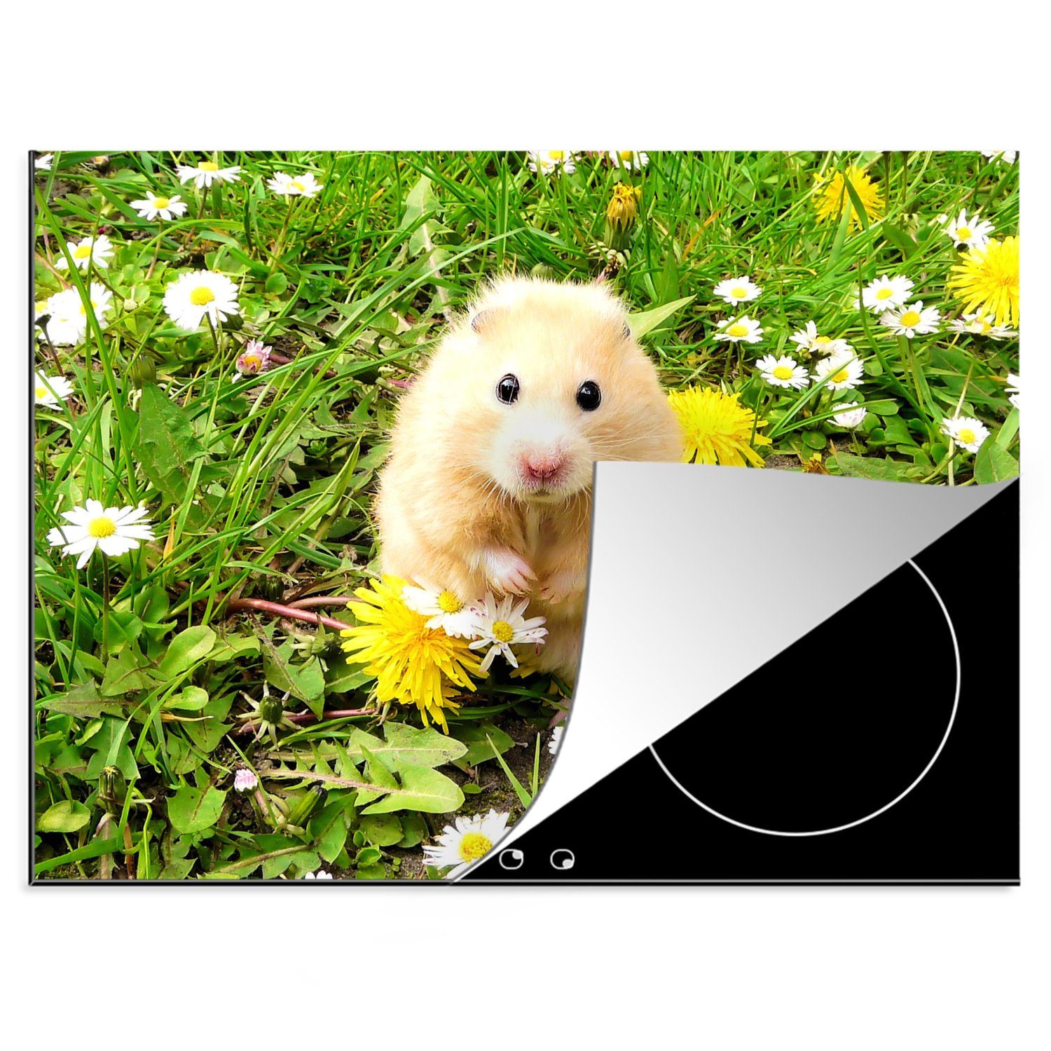 MuchoWow Herdblende-/Abdeckplatte Hamster zwischen Ceranfeldabdeckung Vinyl, Arbeitsfläche 70x52 nutzbar, Mobile Blumen, (1 tlg), cm