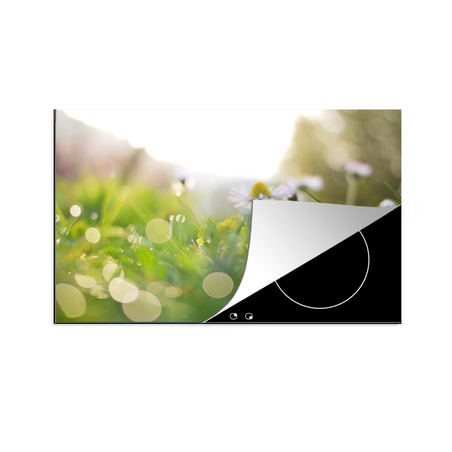 MuchoWow Herdblende-/Abdeckplatte Ein Gänseblümchen mit frühem Tau, Vinyl, (1 tlg), 81x52 cm, Induktionskochfeld Schutz für die küche, Ceranfeldabdeckung