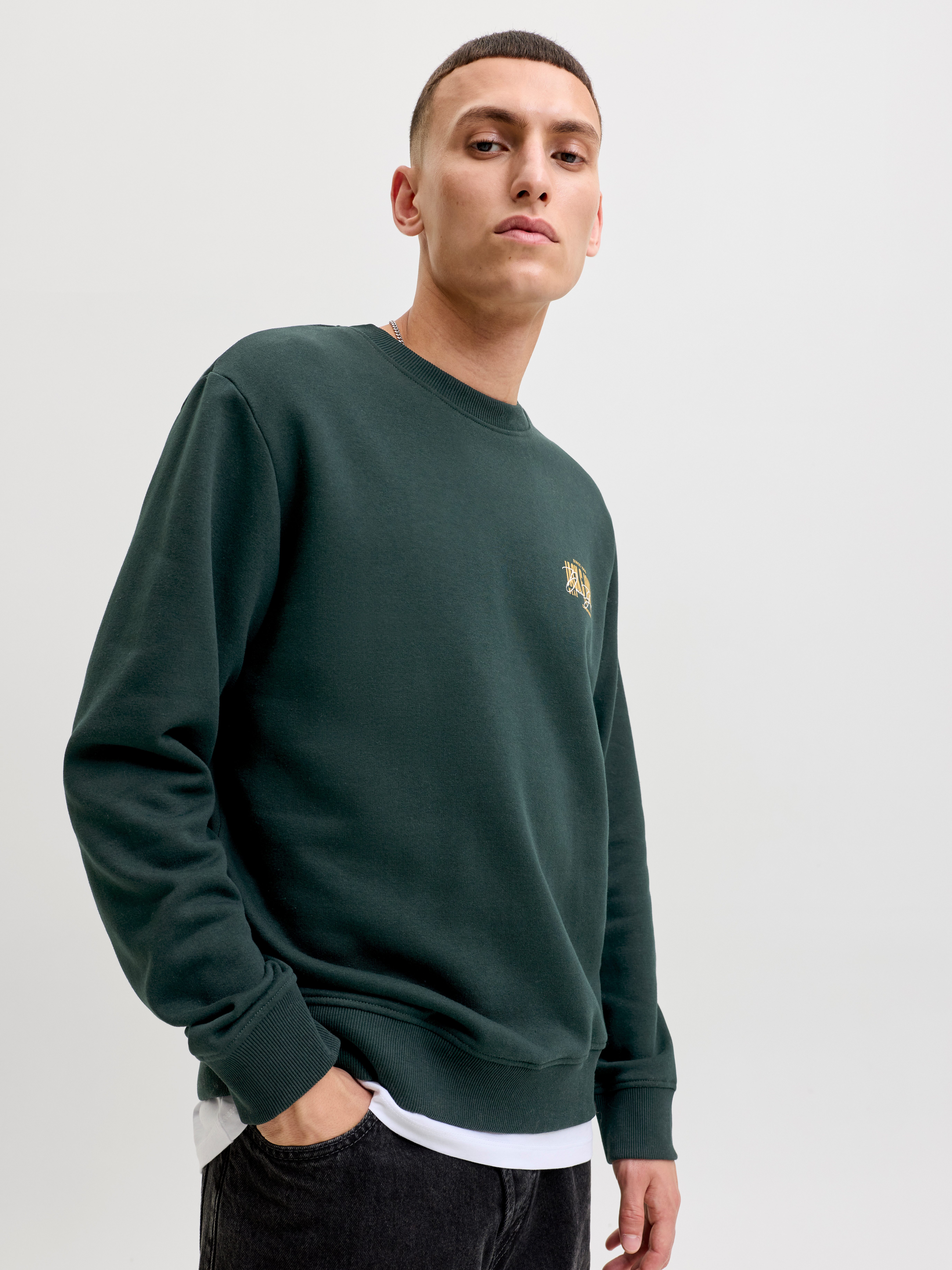 Jack & Jones Sweatshirt JJAERO SWEAT CREW NECK Materialmix, regular fit