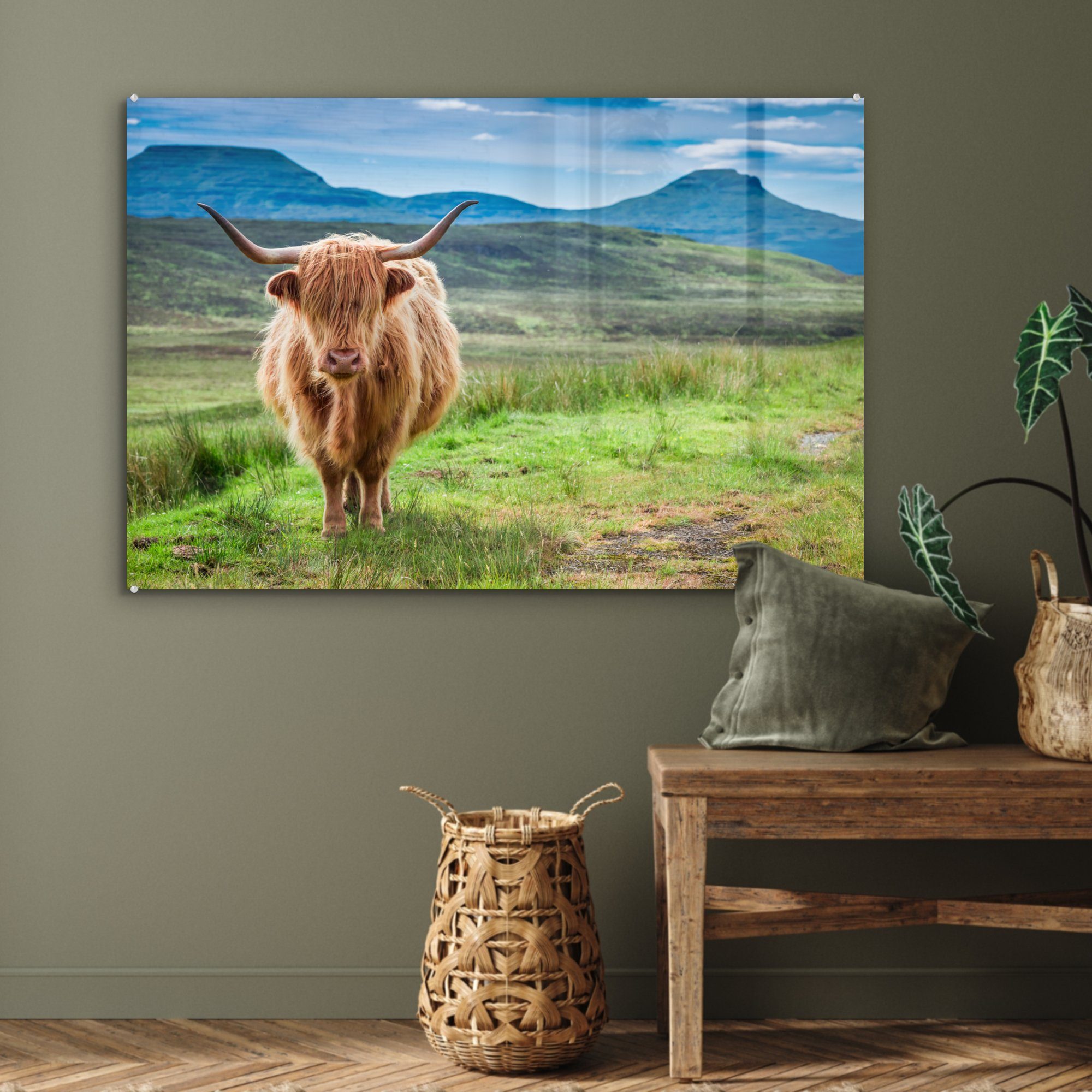 - Schlafzimmer - & Schottland, Highlander Schottische Acrylglasbild St), Acrylglasbilder (1 Kühe Wohnzimmer MuchoWow