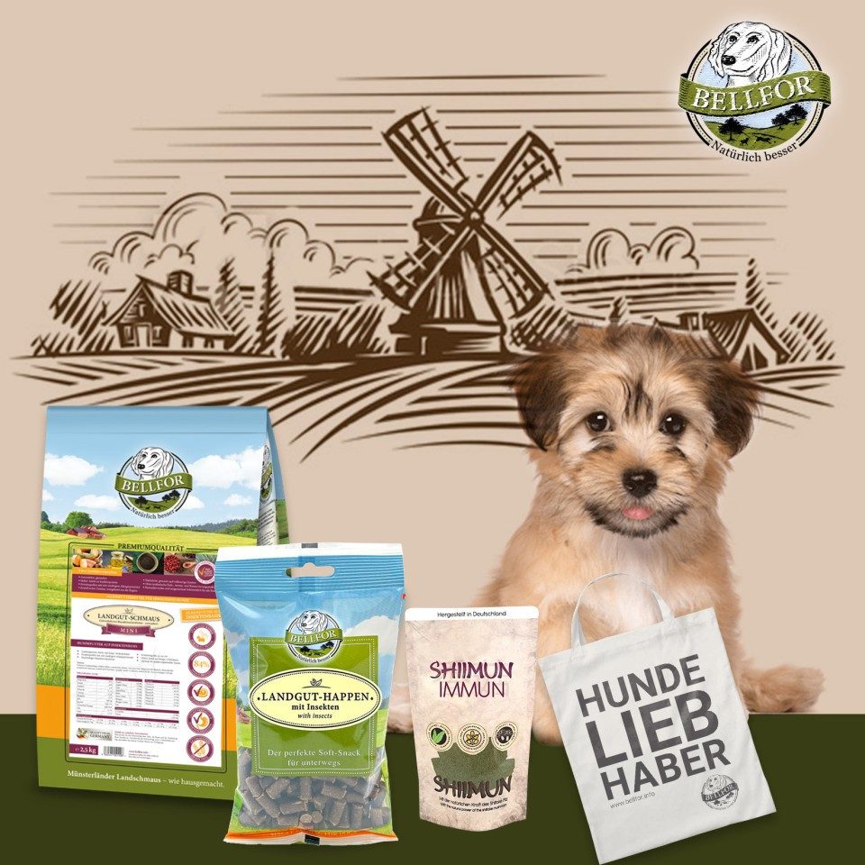 Bellfor Bellfor Havaneser Futter Set, für: Hunde