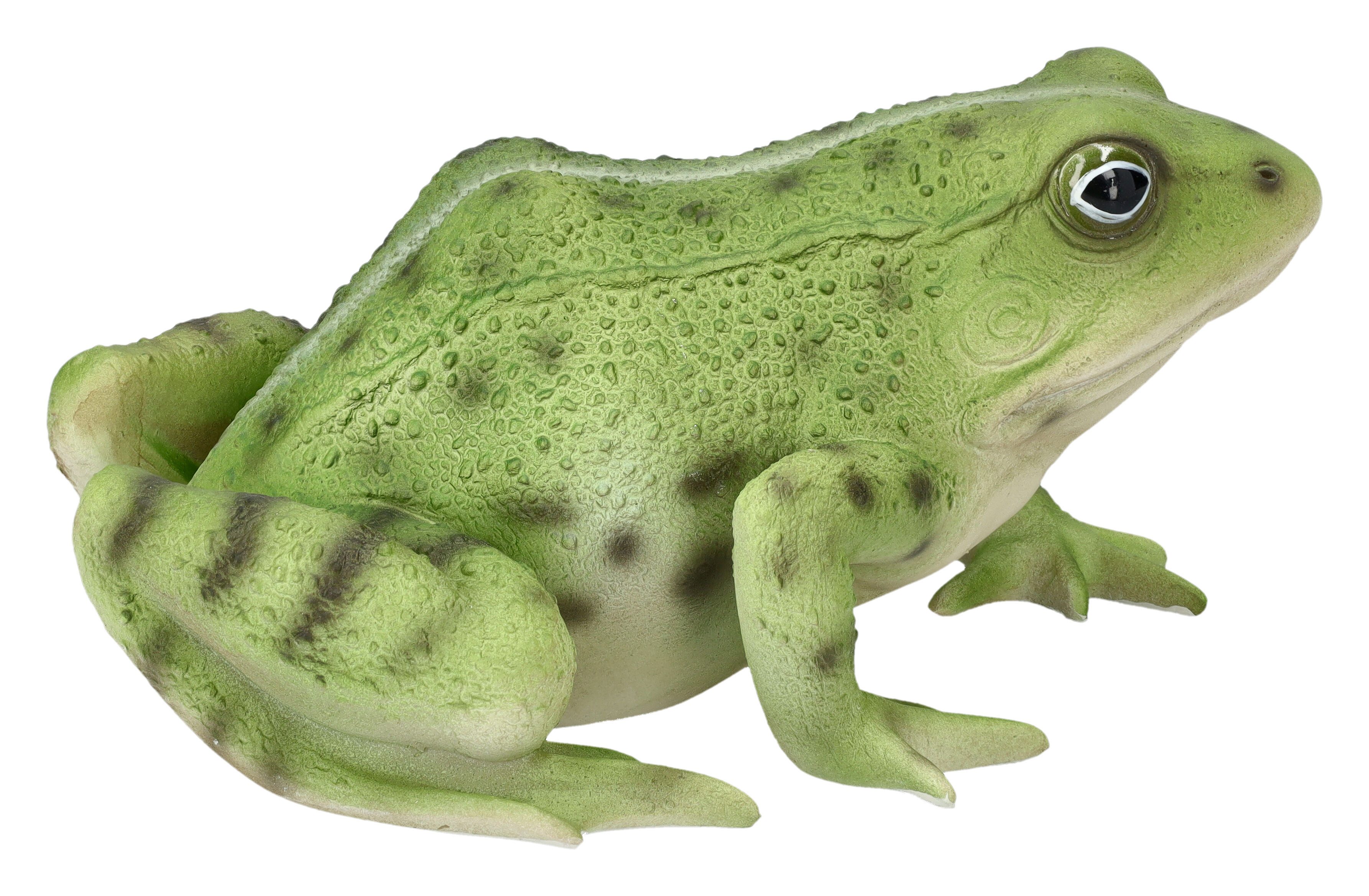 Gartenfigur Gartenfigur - Frosch grün - Gartendeko Dekofigur Teich Deko Tierfigur