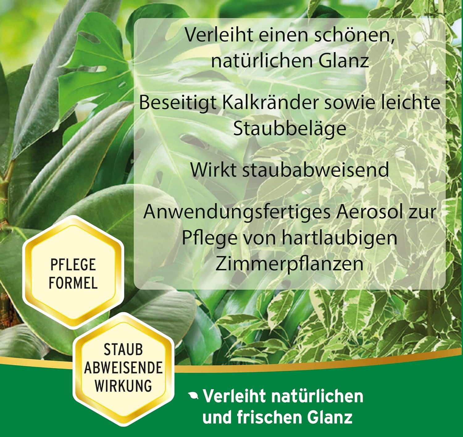 Substral Blumendünger Substral Blattglanz Spray 200 ml