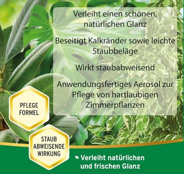 Evergreen Blumendünger Substral Blattglanz Spray 200 ml