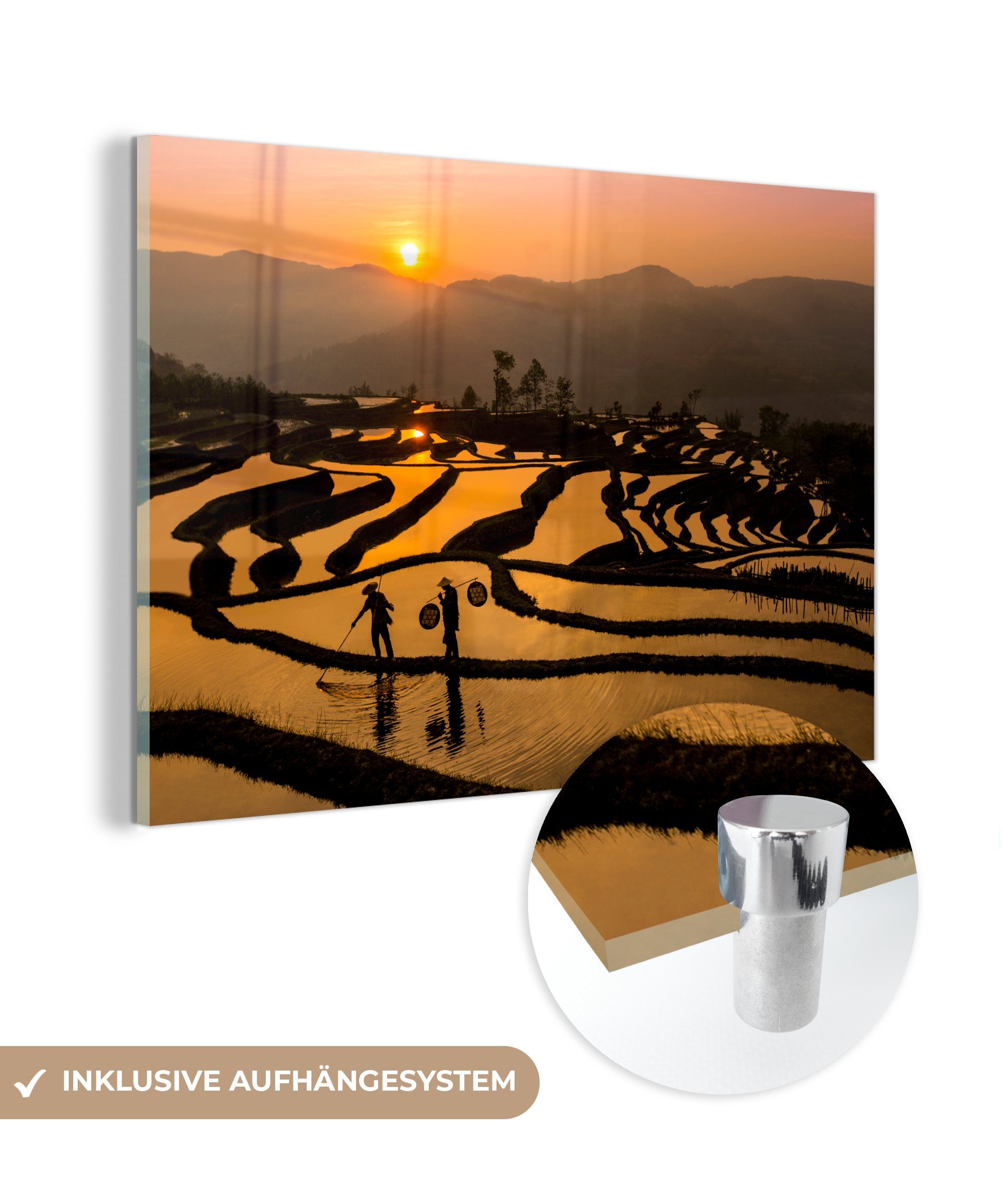 MuchoWow Acrylglasbild Schönes Bild von einem Reisfeld bei Sonnenuntergang, (1 St), Acrylglasbilder Wohnzimmer & Schlafzimmer