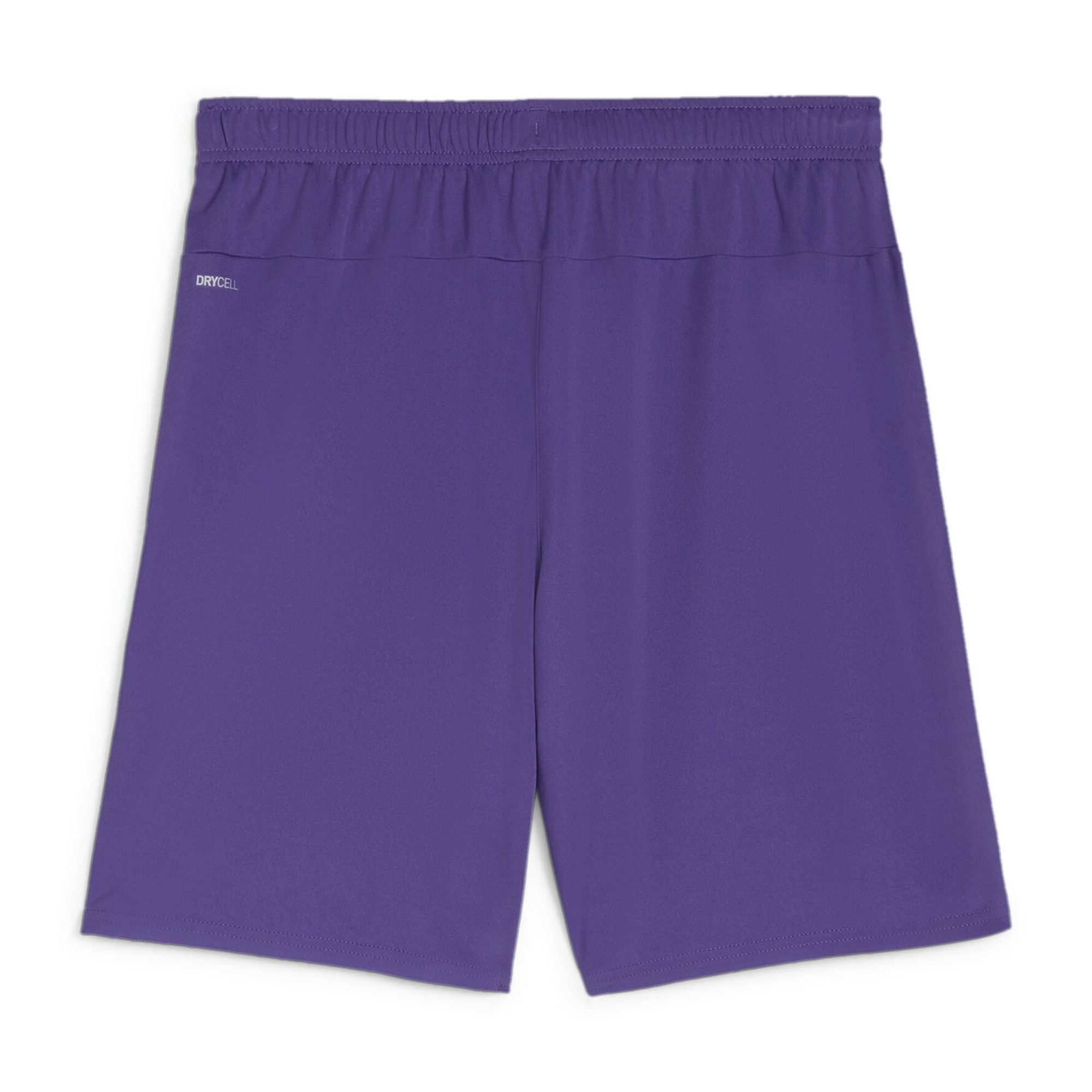 PUMA Trainingsshorts Puma Herren Short teamGOAL günstig online kaufen