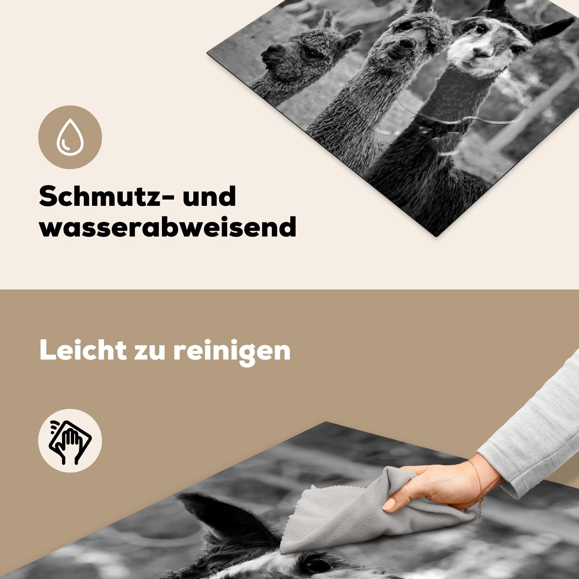 Alpakas und schwarz weiß, Herdblende-/Abdeckplatte Mobile beobachten Arbeitsfläche MuchoWow - tlg), Vinyl, cm, Ceranfeldabdeckung 60x52 nutzbar, (1