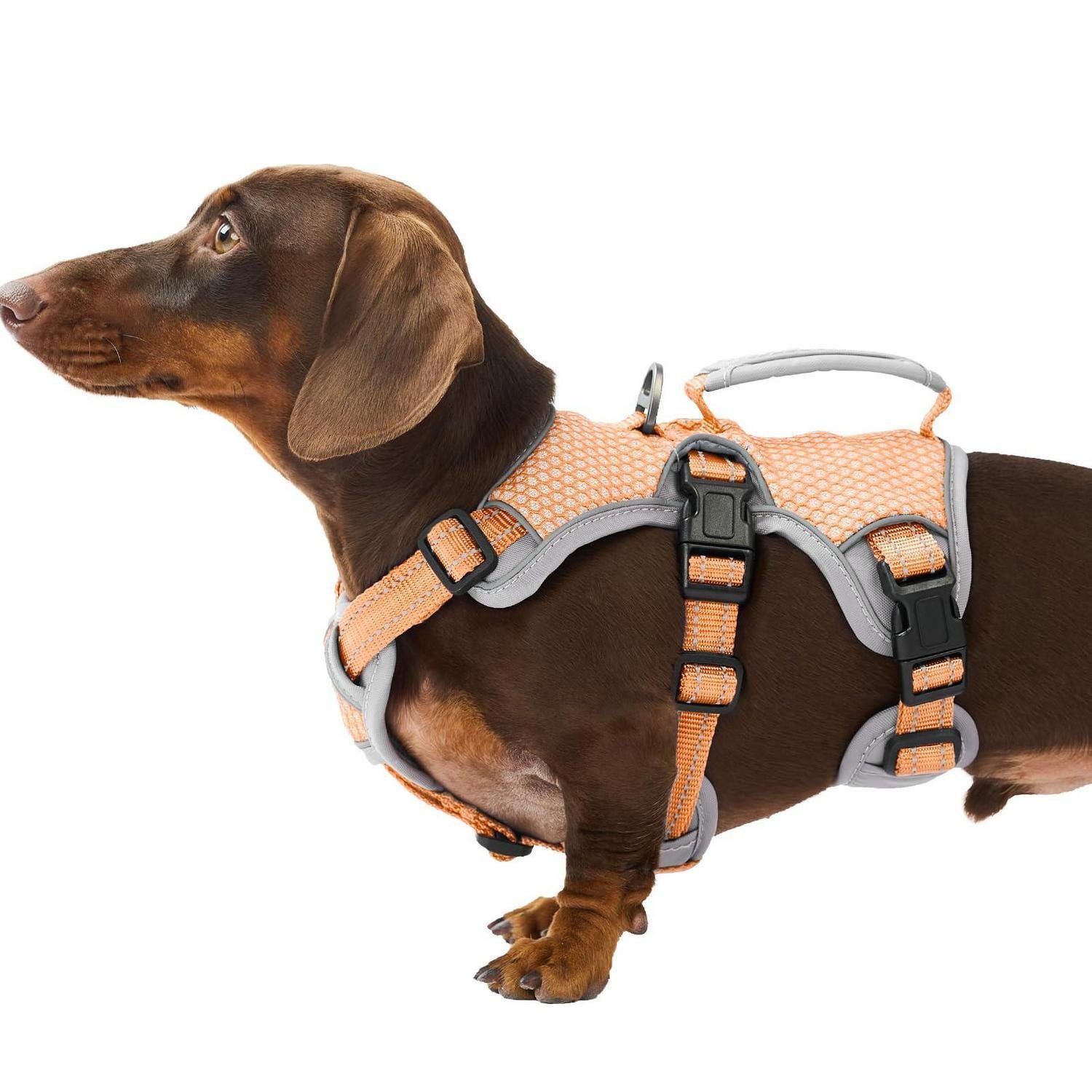LuxusKollektion Hunde-Sicherheitsgeschirr Sicherheitsgeschirr Hund Ausbruchssicher Orange S, Textil