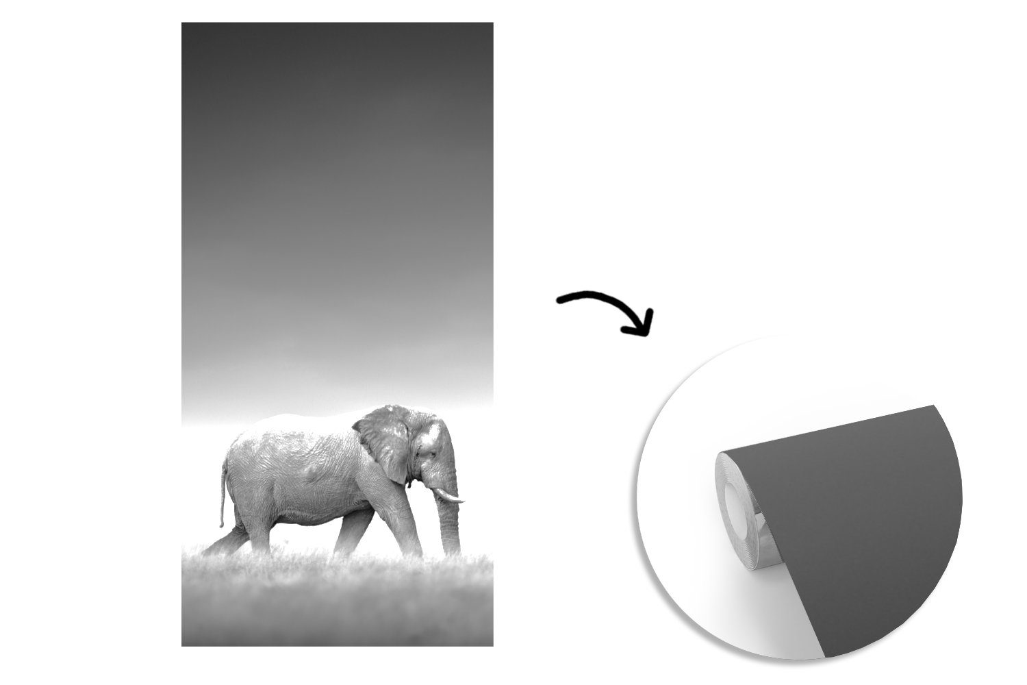 MuchoWow Fototapete Elefant Tiere - - und - (2 weiß Matt, bedruckt, St), Küche, - Schwarz Vliestapete Fototapete Zebra, Schlafzimmer Landschaft Wohnzimmer für