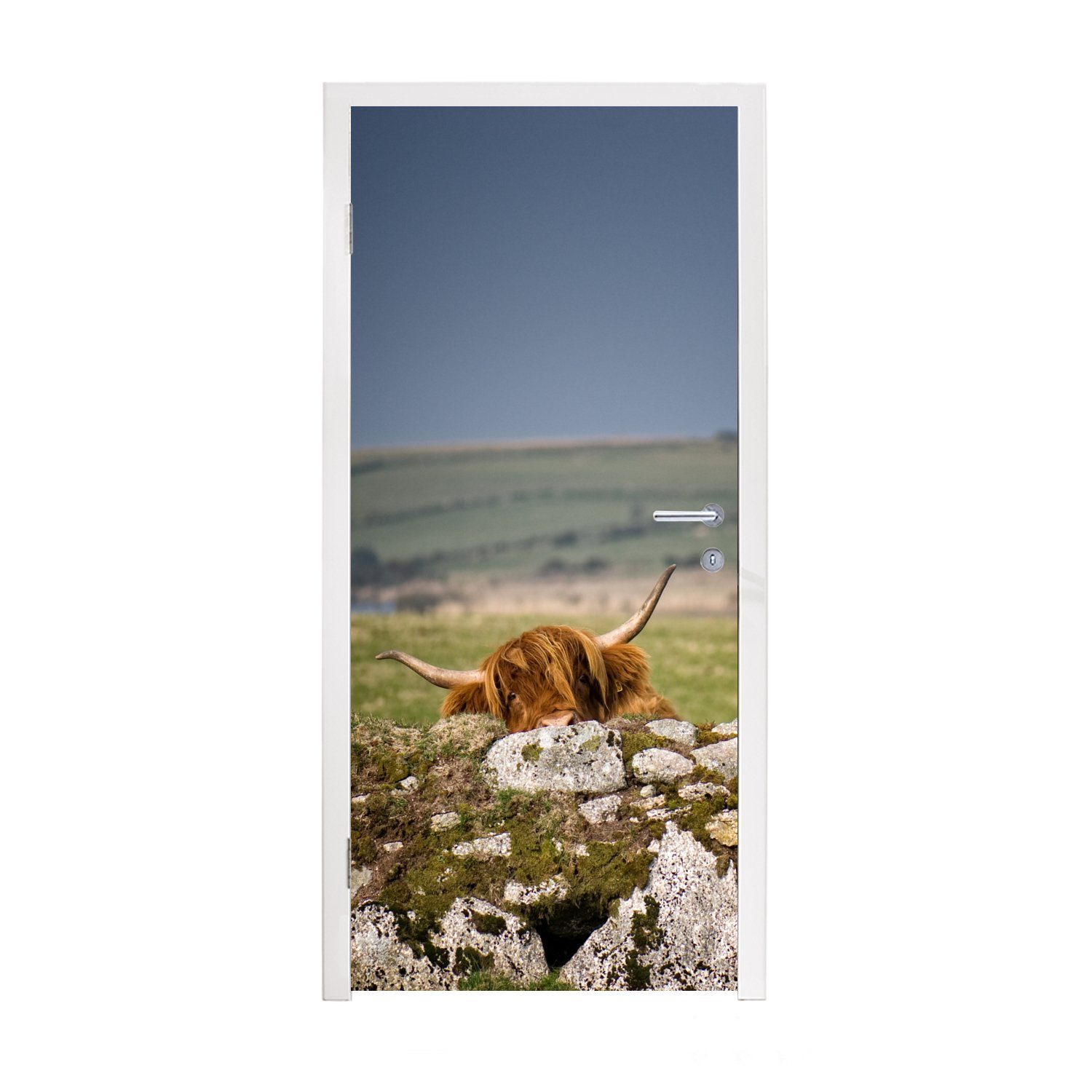 MuchoWow Türtapete Schottische Highlander - Steine - Gras, Matt, bedruckt, (1 St), Fototapete für Tür, Türaufkleber, 75x205 cm