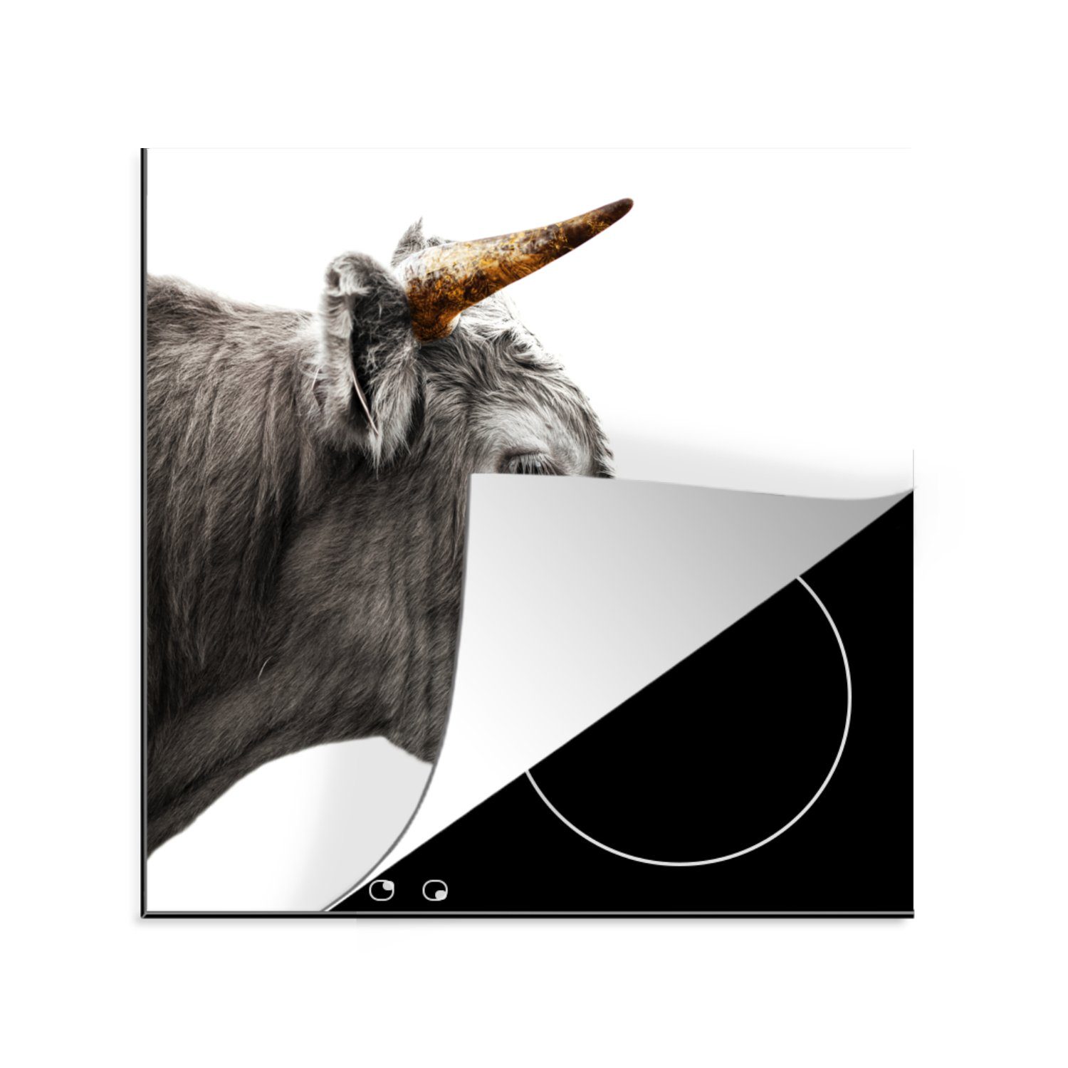 MuchoWow Herdblende-/Abdeckplatte Schottischer Highlander - Tiere - Kuh, Vinyl, (1 tlg), 78x78 cm, Ceranfeldabdeckung, Arbeitsplatte für küche