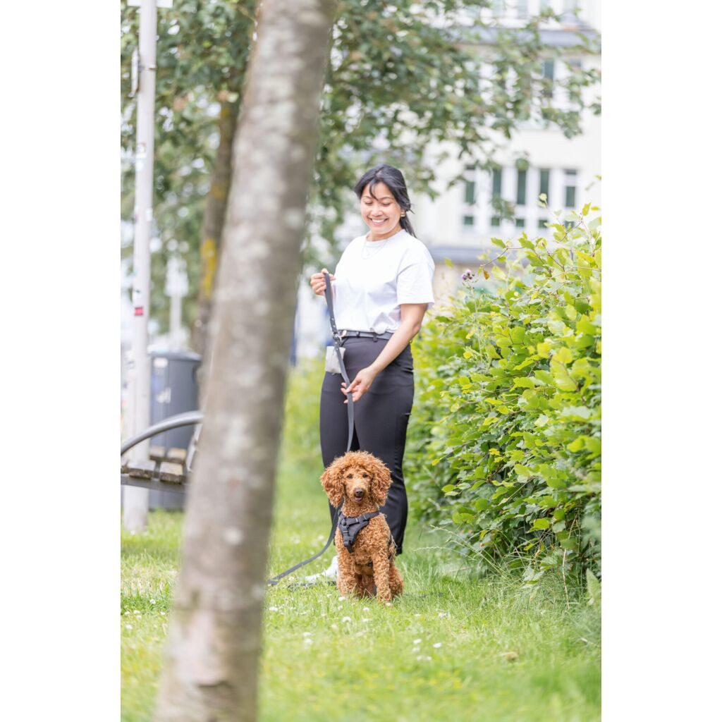 TRIXIE Schleppleine CityStyle Schleppleine - schwarz - 5 m/20 mm, Gurtband