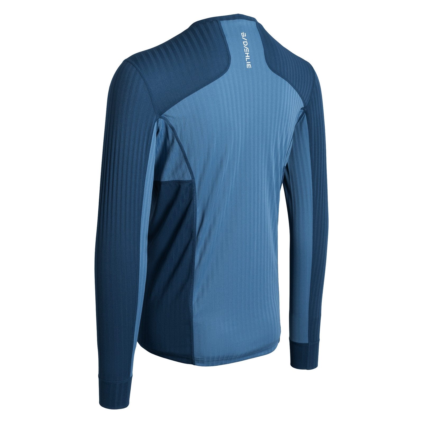 DAEHLIE Funktionsshirt Training Tech Long Sleeve mit großem Markenprint