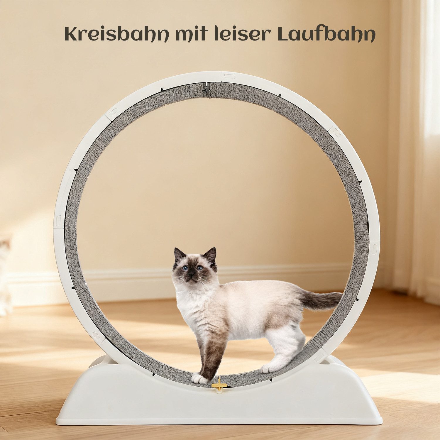 oyajia Tier-Aktivitätsspiel Tierlaufrad, Katzenlaufband, Laufband für Katzen, Zimmerläufer, PP-Kunststoff, Leise, Pfotenschutz, Feststellbar, 80cm Innendurchmesser