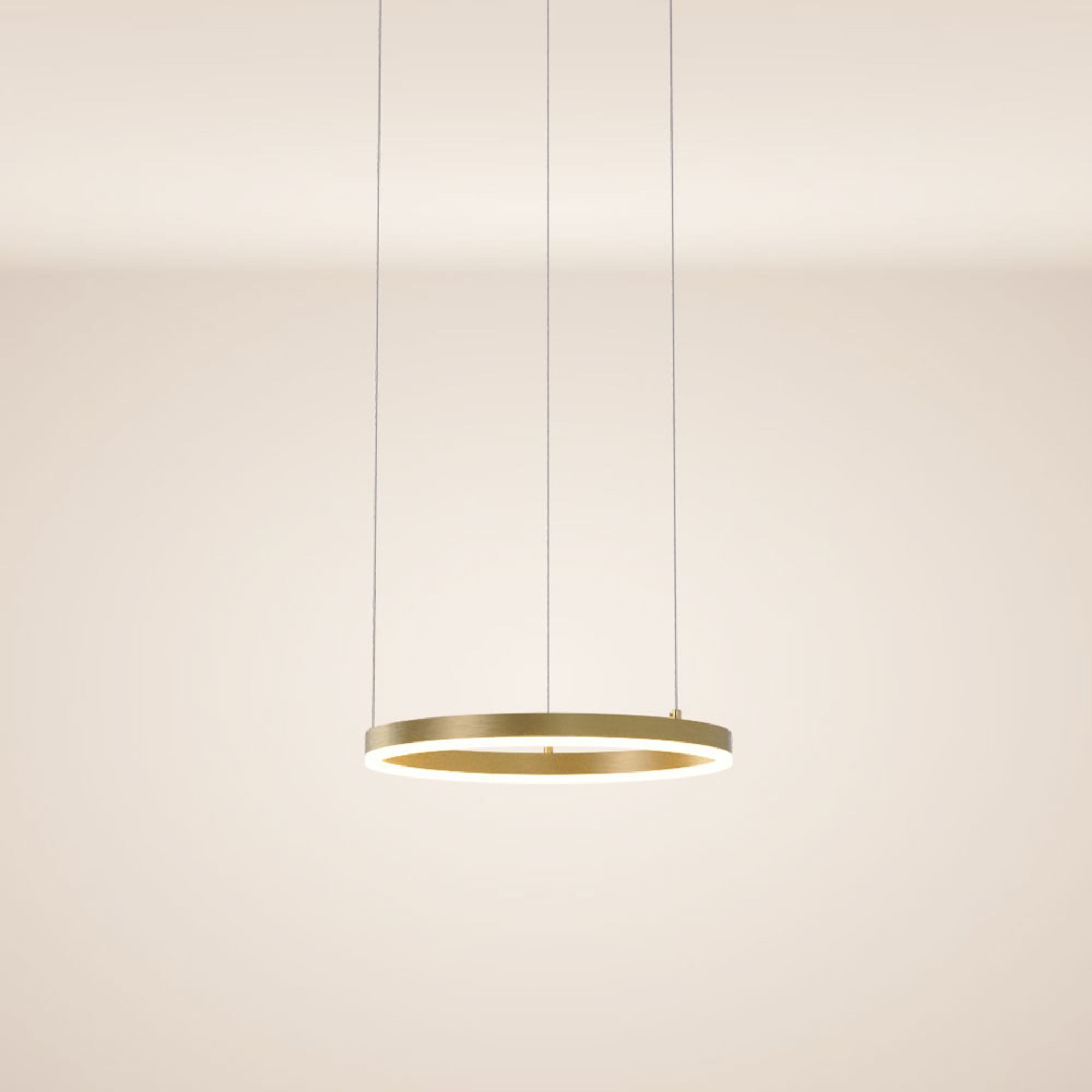 s.luce Pendelleuchte LED Pendelleuchte Ring 40 direkt oder indirekt 5m Abhängung Gold, Warmweiß