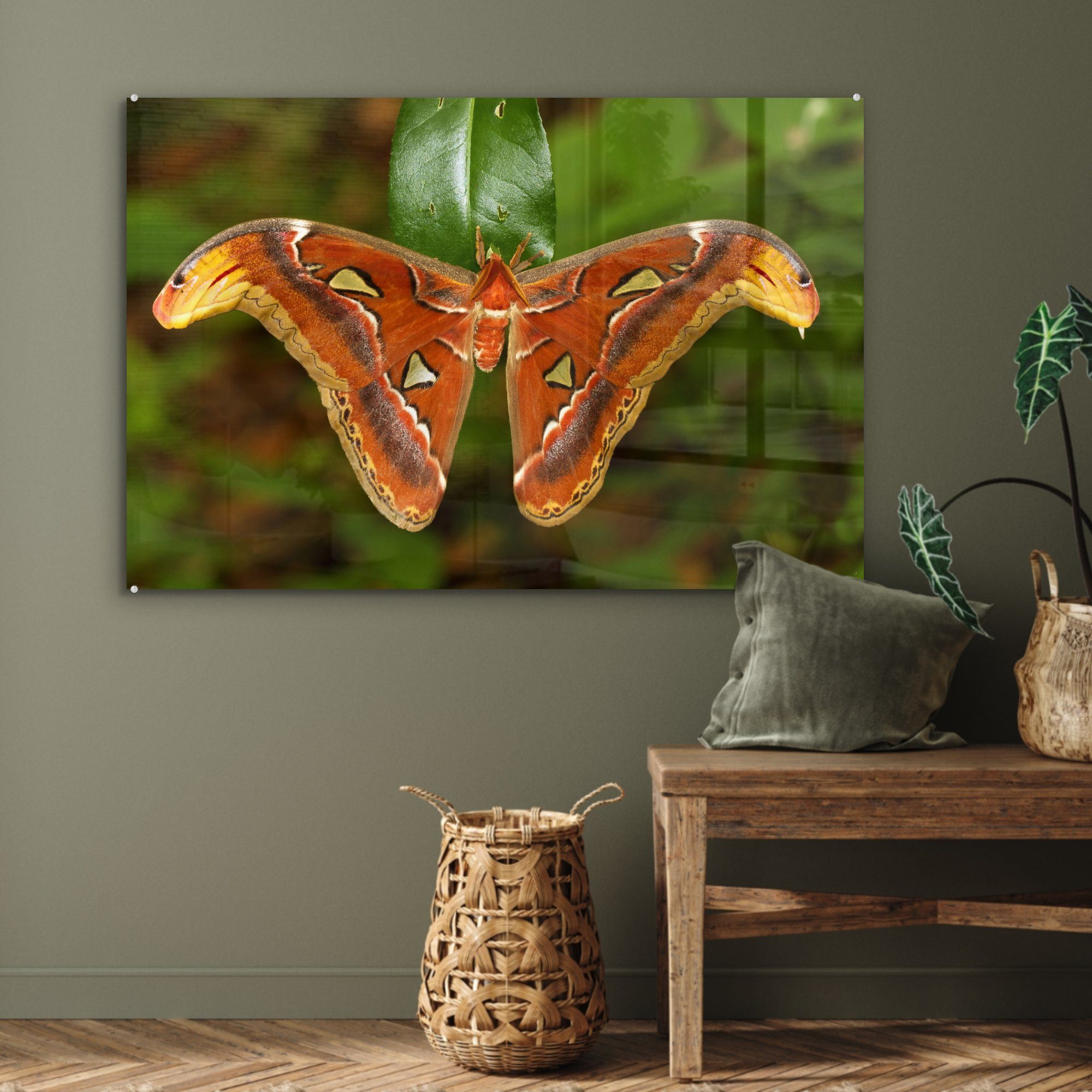 Schlafzimmer Acrylglasbild & auf Acrylglasbilder (1 Blatt, MuchoWow St), Wohnzimmer Schmetterling