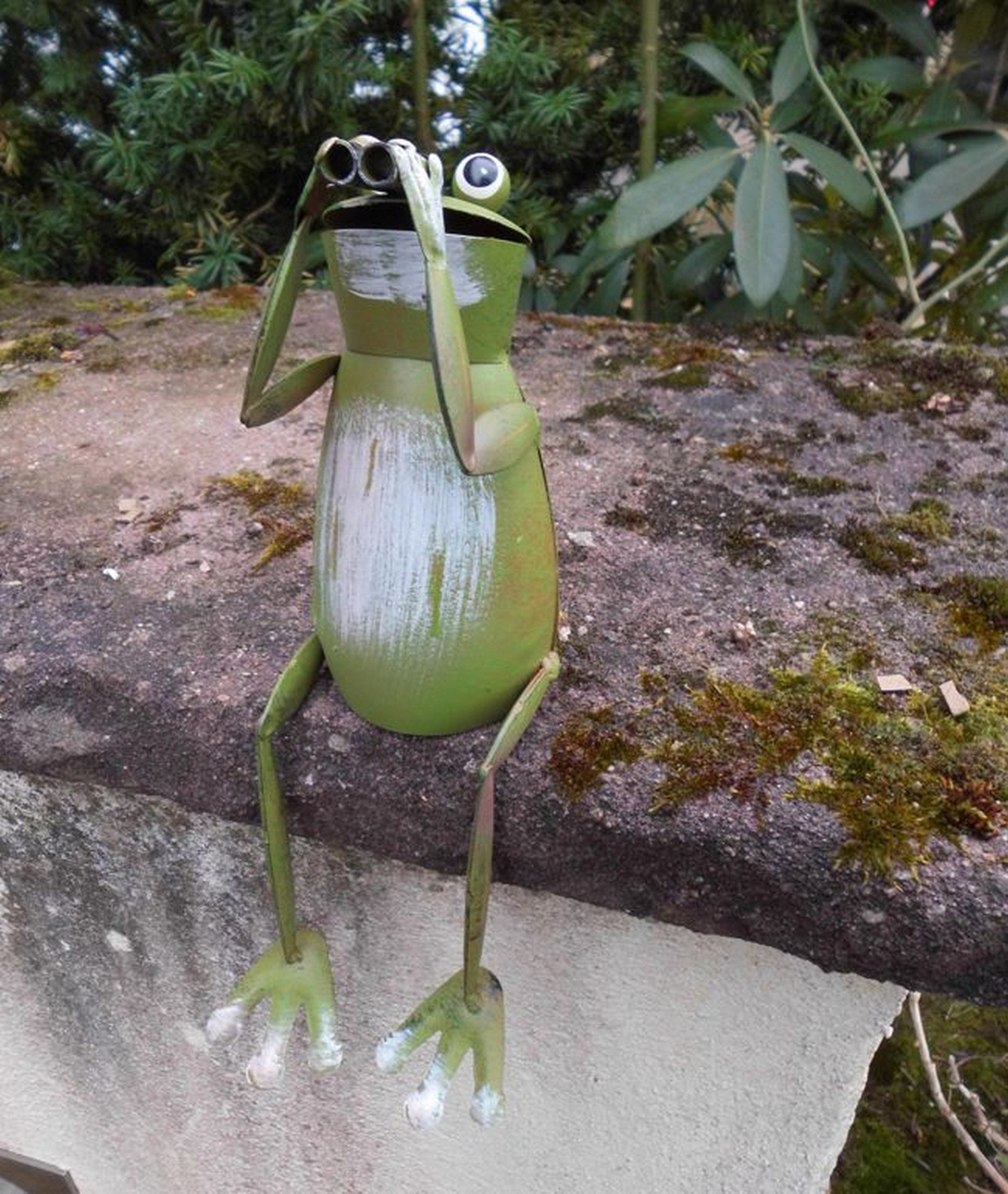Deko-Impression Dekofigur Kantenhocker Spanner Zaunfigur Pfahlhocker Frosch mit Fernglas 27 cm (1 St)