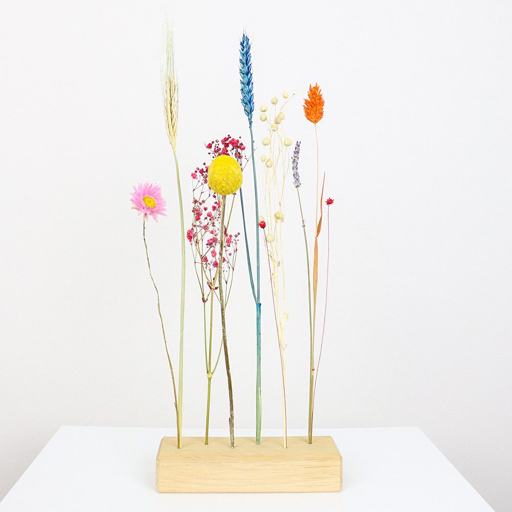 Trockenblume FlowerBar® “BLUMENWIESE”, Holzleiste mit Trockenblumen, günstig online kaufen