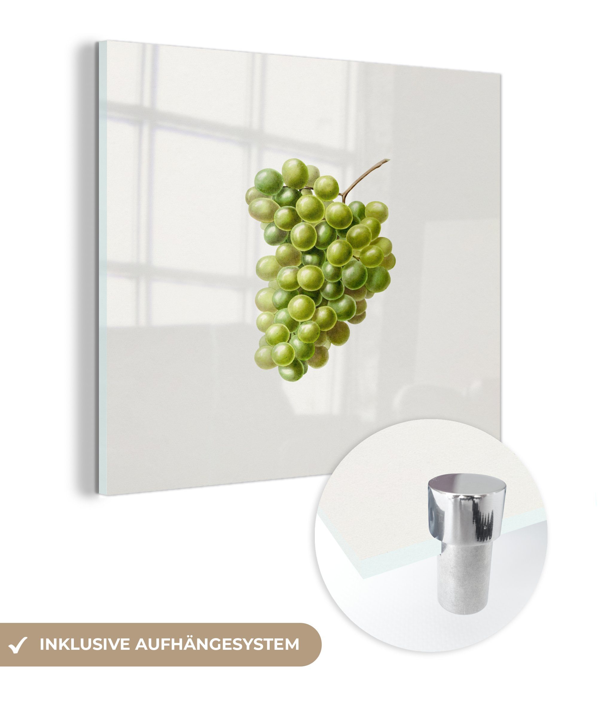 MuchoWow Acrylglasbild Weintrauben - Obst - Grün, (1 St), Glasbilder - Bilder auf Glas Wandbild - Foto auf Glas - Wanddekoration