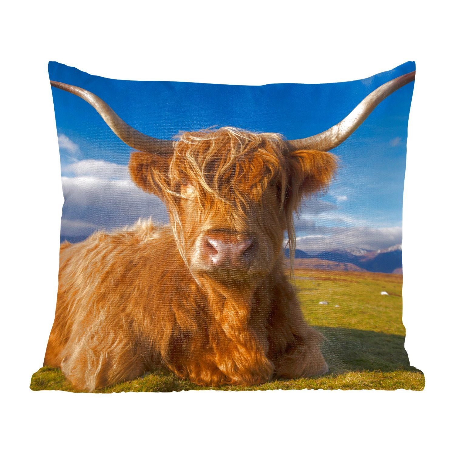 MuchoWow Dekokissen Schottische Highlander - Tiere - Gras, Zierkissen mit Füllung für Wohzimmer, Schlafzimmer, Deko, Sofakissen